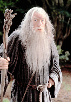 arwenundomie1-deactivated201509: Gandalf (Quenya; IPA: [gand:alf] - “Wand-Elf”)  the Grey, later known as Gandalf the White, also called Olórin (Quenya; IPA: [oˈloːrin] - “Dreamer” or “Of Dreams”), Tharkun, and Mithrandir (Sindarin IPA: