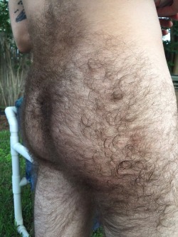 lovehairybushgdl:  manlybush:  Incredibly hairy and hot. I can just see my cock slipping inside that hairy forest!  Eso si que es un culo peludo 