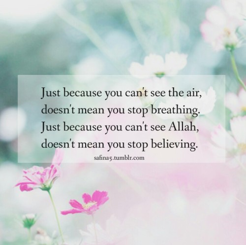 Muslimah-quotes  Tumblr