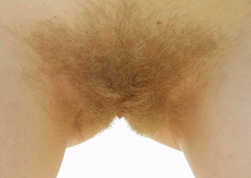 Hairy blonde pussy pubic hair