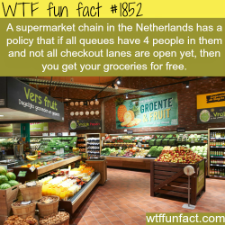 wtf-fun-factss:  Jumbo Supermarkets - WTF fun facts