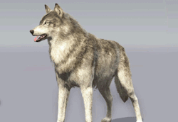 bear-montana:      Metal Gear Solid V: The Phantom Pain – Customization  D-Dog – Colors  