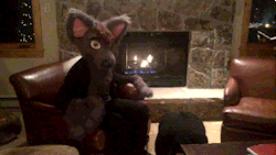 aceofheartsfox:  Hope you guys have a nice Sunday to kick back, and relax! ^w^/ Filmed by my sister nissaportia :p 