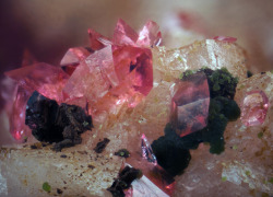 underthescopemineral:  RoseliteLocality:Aghbar Mine (Arhbar Mine), Aghbar, Bou Azer District (Bou Azzer District), Tazenakht, Ouarzazate Province, Souss-Massa-Draâ Region, Morocco    Well formed Roselite cristals on Calcite with probably Cobaltaustinite.
