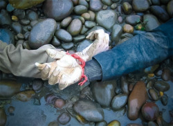 lovehylophiliac:  sixpenceee:  Red String Lovers Two bodies were found in the Yangtze River, China with their hands entwined together in red twine. The couples’ family did not agree with the marriage, so the lovers took their lives.  According to this