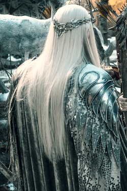 stormbornvalkyrie:  Thranduil’s armour in The Hobbit: The Battle of the Five Armies x 