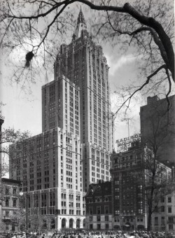 vintagemanhattanskyline:  The 33-story New York Life Building. 51 Madison Avenue, entire block between East 26th to 27th streets with Madison and Park avenues. Cass Gilbert, 1926-1928. View looking northeast from Madison Square Park. Spring 1932.Photo: