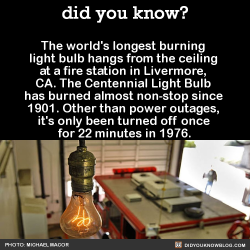 did-you-kno:  In 1976, it was removed from one fire station and installed in another, and they severed  the cord out of fear that unscrewing the bulb would break it. It was moved with a full police and fire truck escort. The bulb has a dedicated live