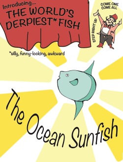 the-brain-fuckler:  zooophagous:thegreenwolf:  squidtoons:  Squidtoons is proud to present: The World’s Derpiest Fish - The Ocean Sunfish (Mola mola) Check out the full piece here!  Also, just as a fun addendum, here’s a sunfish skeleton:   God look