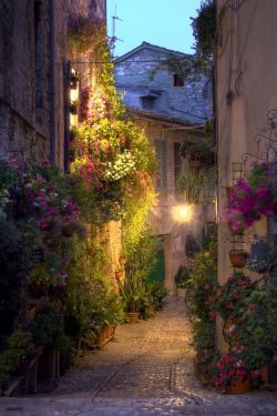 coiour-my-world:  Street in Spello, Umbria, Italy