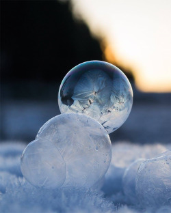 mymodernmet: Each winter, when the temperature dips into the negatives, Washington-based photographer Angela Kelly takes advantage of the frigid weather and blows bubbles that freeze and form beautiful patches of ice crystals. The breathtaking results,
