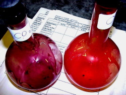 hugeasstool:  These are samples of oxygenated [right] and deoxygenated [left] blood. Both of these colours of blood will exist in your body at any point. It’s often thought, because veins appear blue or green through skin, that deoxygenated blood is