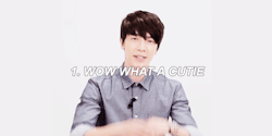 haehyukjaes: the three stages of lee donghae fangirling. (insp.)
