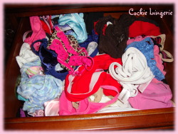 Cocky Lingerie’s ~ Pantie Drawer ParadeYou know you like to peek in those wonderful pantie and lingerie  draws, so take a quick peek in ~  Kellie’s pantie drawer.           ~ Kellie is in her 20′s                 ~ interior designer