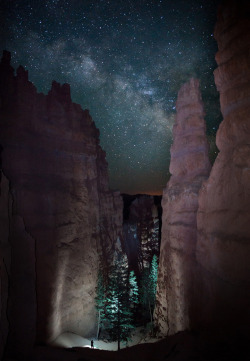 naturalsceneries:  The Milky Way above Bryce Canyon National Park, Utah photo by Jason Hatfield  Night hiking through canyons is one of my favorite things. Camping in the desert under them stars is one of my favorite things.