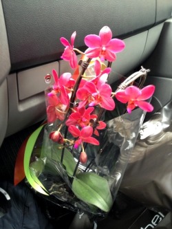 I just bought some flowers for mothersday tomorrow &lt;3