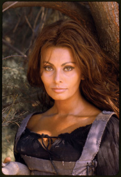 blackpanty:  Sophia Loren  Loren was photographed in Matera, Italy in 1967 to promote the film C’era Una Volta (More Than a Miracle), in which she played a peasant girl falling for Omar Sharif’s prince. 