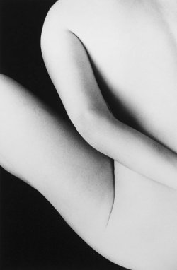 avivajazz:  Ralph Gibson. White Nude (from Infanta). 1988 ●彡   
