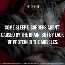 dailypsychologyfacts:  For more real psychology facts, follow us at @dailypsychologyfacts.