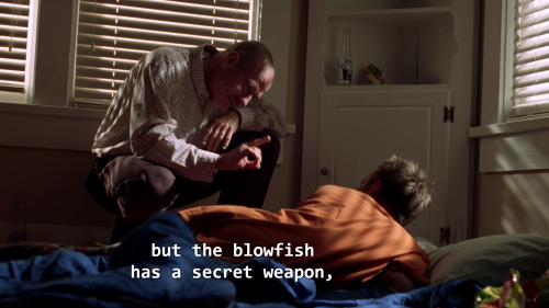portaltwo:  if i knew nothing about breaking bad and you showed me these screenshots and told me it was a show about a marine biologist tormenting his son id believe you