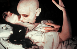 classykittenn:  “The absence of love is the most abject pain.” Nosferatu the Vampyre (1979) dir. Werner Herzog