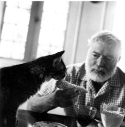 Ernest Hemingway, despite his manly bravado, had a soft spot for cats. By 1945, he had amassed 23 of them. uncle Willie here