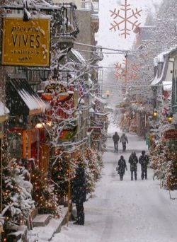 bluepueblo:  Snowy Day, Quebec City, Canada photo via terri 