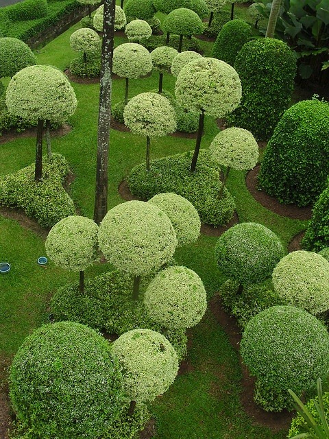 Artificial topiary trees