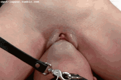 xrayeyesblue: regalrs:  Keep licking baby boy till your whole face is soaked, then the real fun begins  Want to know more about me? Im a 59 y/o bi submissive male slave owned by Mistress Jade and living in Boston, MA. Always interested in meeting and