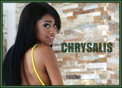 I published a new story today, entitled &ldquo;Chrysalis&rdquo;.  Its premise is as follows:Thinking he&rsquo;s found the solution to old age, a rich man submits to a cutting edge procedure which promises to transform him into a young man again. It featur