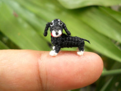 kitsunecoffee:  marinashutup:  moarrrmagazine:  Miniature dogs by SuAmi  ARE YOU JOKING   what is this a dog for ants