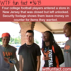 wtf-fun-factss:   Four college football players set an example of honesty -  WTF fun facts