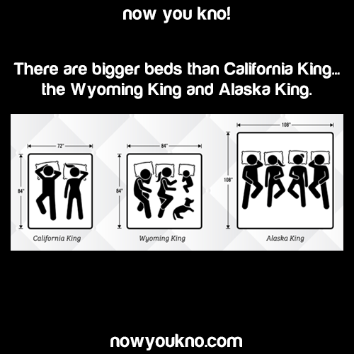 john-mulaney-type-straight: owodotexe:  cold-dead-angel:  the-worm-man:   education: Source: http://bit.ly/2N2Nqi4 Poly rights   finally, a bed big enough for me and my size 13 nikes    Me and the boys waking up in our Alaska King  oh to lay on an Alaskan