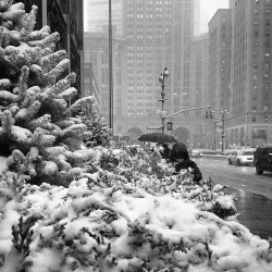alwaysbeenmad:  Park Avenue and 48th Street… Winter… Still here…   #ny #nyc #manhattan #newyork #newyorkcity #parkavenue #winter #snow #weather #blackandwhite #bw  (at 299 Park Avenue)