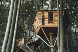 treehauslove:  Robin’s Nest Treehouse Hotels. A secluded getaway cozily settled up on a forested mountain. It offers a nice and quet stay in one of three rustic treehouses. Storytelling by the bonfire and fresh bread every morning - all included! Located