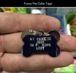 tastefullyoffensive:  Funny Pet Collar Tags (photos via Bored Panda)Related: Cats and Dogs Growing Up With Their Toys 