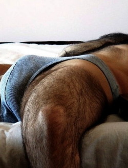 Hairy man briefs bulge&hellip;