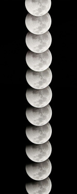 leslieseuffert:  Sam Javanrouh (Toronto based Photographer/Creative Director) Lunar Eclipse captured on December 21st, 2010 (via)