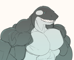 ripped-saurian:  killer whale/shark hybrid doodlebuff sea creature with the body size of a whale and the muscularity of a shark? sounds good to me