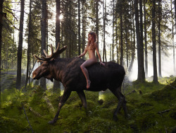 deerypoof:  Look again, this is not Photoshop! This spectacular piece was photographed by Drew Gardner in Northern Sweden, where the moose (also known as an elk in Europe) and woman posed for an entire day before the last, perfect shot could be taken.