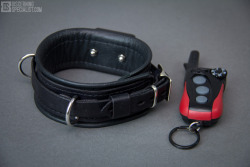 discerningspecialist:  DSG - LEATHER SHOCK COLLAR http://www.discerningspecialist.com/bdsm-gear/restraints/52-dsg-leather-shock-collar   Although I was happy how the Dogtra IQ-Plus turned out for play use, the included collar wasn’t up to my leather