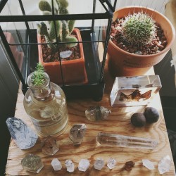 vegan-yogi:  my friend genna has the most amazing crystal &amp; plant displays in her room &lt;3
