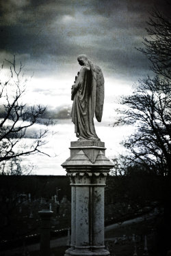 celtic-cateyes:  Angels Watching Over Me V by touch-the-flame    Photographed at New Cathedral Cemetery, Baltimore, Maryland USA   