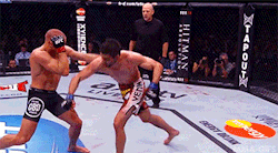 mma-gifs:  UFC 154: Georges St. Pierre vs. Carlos Condit