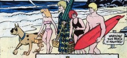 benepla:  reggieandme: summer mood  shaggy wearing a knee length flowery dress…..Fred completely naked hiding his junk w a surfboard…..power playing the ghosts