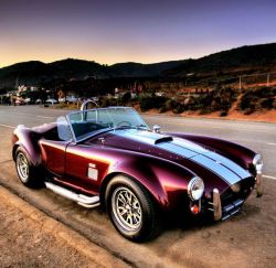 doyoulikevintage:  Ford Shelby Cobra 