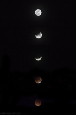 Waking up at 3 a.m. to shoot the super blood moon was worth it, especially when I was able to share it with someone special. Here is a brief series I put together, please let me know what you think!
