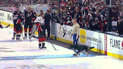 redcap3: fuckyeah-nerdery:  kickbuttparamagician:  brosillustrated:  Corporal Nero, a Military Police Patrol/Explosive Detector Dog, was in charge of the honorary puck drop between Ducks captain Ryan Getzlaf and Flames captain Mark Giordano. [video]