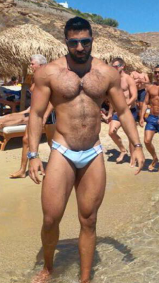 stratisxx:This hot Greek daddy was sporting a big bulge and furry pubes at Elia beach… Saw him pick up a few boys that week and wreck their holes… This guy was a bull.