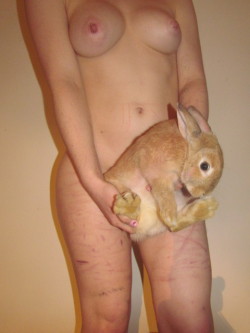 snotbubbl:  bunny+nudity 